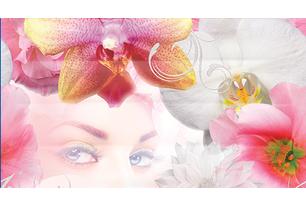 Dec Vision Panno A КПН16VisionA 25х45
