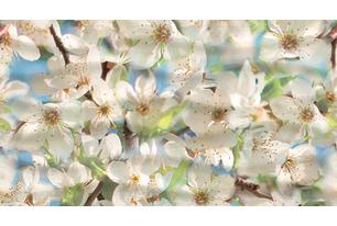 Dec Spring Panno B КПН16SpringB 25х45