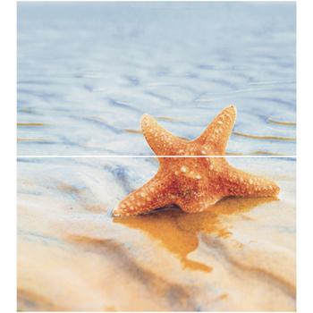Dec Starfish 1 Panno (панно из 2-х шт) КПН16Starfish1 50х45
