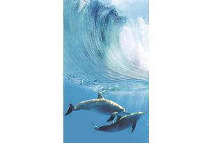 Porto Dolphins А Панно 100x60 (4пл)
