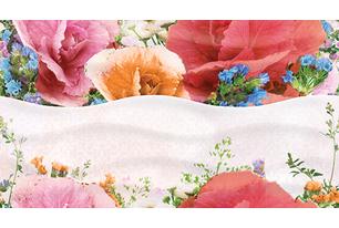 Dec Aroma Декор КВС16Aroma 25х45