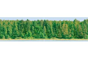 Dec Forest Panno (панно из 2-х шт) КПН16Forest 25х90