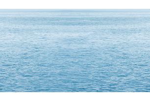 Dec Regata 5 Декор КВС16Regata5 25х45