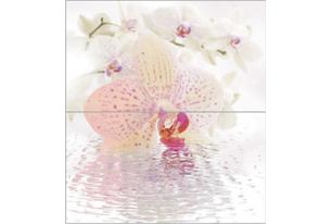 Dec Orchid Panno (панно из 2-х шт) КПН16Orchid 50х45