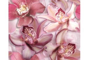 Porto Flowers "Orchid lila" Панно 50x60 (2пл)