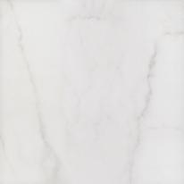 Лакшми Керамогранит 4592 \SG454300N 50,2х50,2 (Орел)