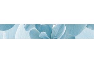 Pastel Бордюр B300-2D124 30х4,5