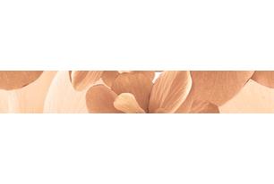 Pastel Бордюр B300-3D124 30х4,5