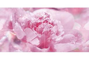 Peony Панно P4D281 80х40 (из 4 плиток)