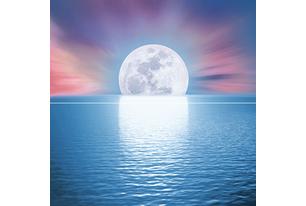 Moon and sun Панно P2-1D288 40х40 (из 2 плиток)