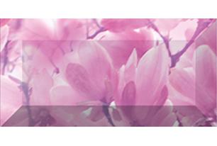 Magnolia Бордюр рельефный br1020D297-2 20х10