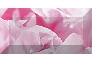 Peony Бордюр рельефный br1020D281-2 20х10