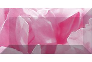 Peony Бордюр рельефный br1020D281-1 20х10