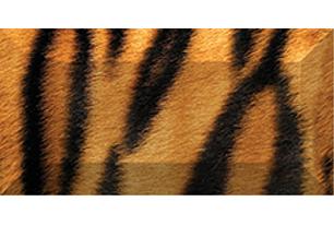 Africa Бордюр рельефный br1020D210-1 20х10