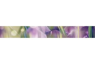 Crocus Бордюр B400D286 40х5