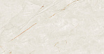 Gravity Sand Керамогранит песочный SG608922R 60х60 полированный_9
