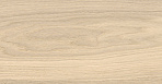 Finwood глаз. керамогранит белый (16686) 18.5x59.8_1