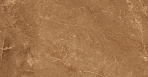 Elegant Armani Gold Керамогранит 60х60 Полированный_1