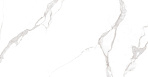 Statuario White PRO Керамогранит белый 60х120 матовый R10GR CB_5