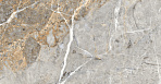 Fantastico Grey Granito Керамогранит 60х60 Полированный_3
