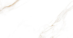Calacatta Regal Gold Керамогранит белый 80х80 Матовый_1