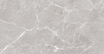 Mramor Chic Silver Керамогранит серый 60х60 Полированный_1
