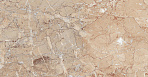 Brecia Antic Brown Керамогранит 60х60 Полированный_11