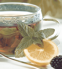 Дэк Ти Панно (панно из 2-х шт) КПН16Tea 50х45