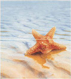 Дэк Старфиш 1 Панно (панно из 2-х шт) КПН16Starfish1 50х45