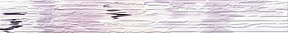 Миракл Бордюр сиреневый (MC1J321D) 5x44
