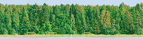 Дэк Форест Панно (панно из 2-х шт) КПН16Forest 25х90