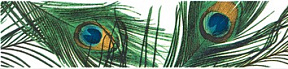 Павлин Бордюр STG\A120\11000T 30х7,2
