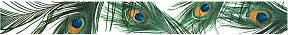 Павлин Бордюр STG\A80\11000T 60х7,2
