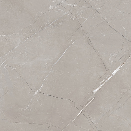 Витрум Гриджио Керамогранит серый 60х60 полированный