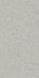 Чеппо ди Гре Керамогранит серый светлый матовый обрезной DD507620R 60x119,5