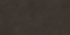 Evolution marron Плитка настенная 48036R 40x80 матовый обрезной