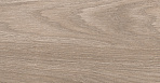 Envy Плитка настенная коричневый 17-01-15-1191 20х60_0